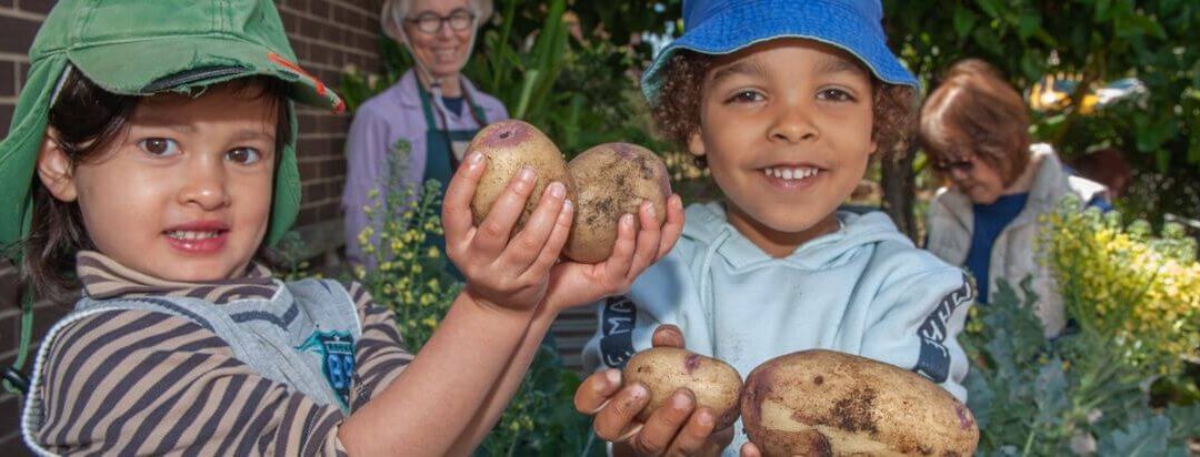 Drummoyne Community Garden Group