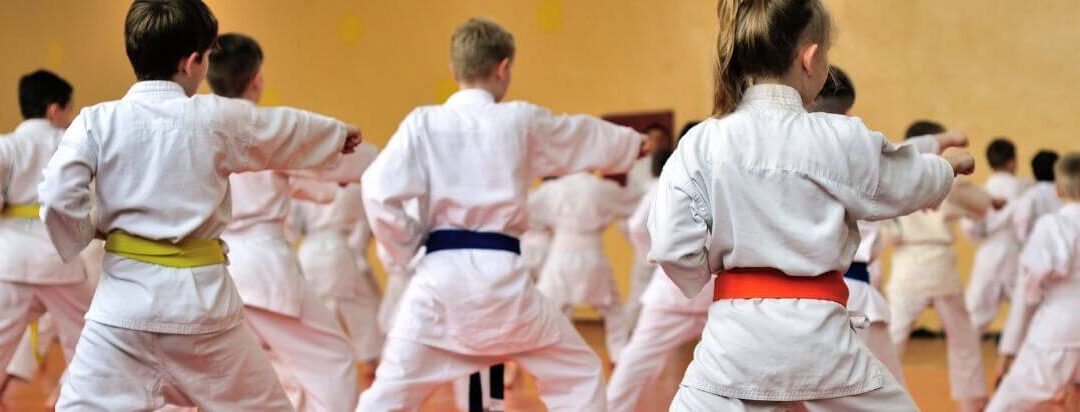 Red Dragon Taekwondo for Children