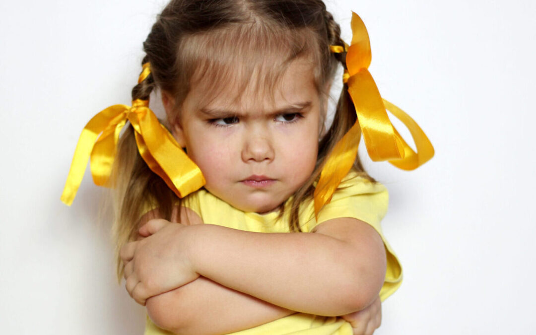 Toddlers: Managing Triggers and Tantrums ONLINE
